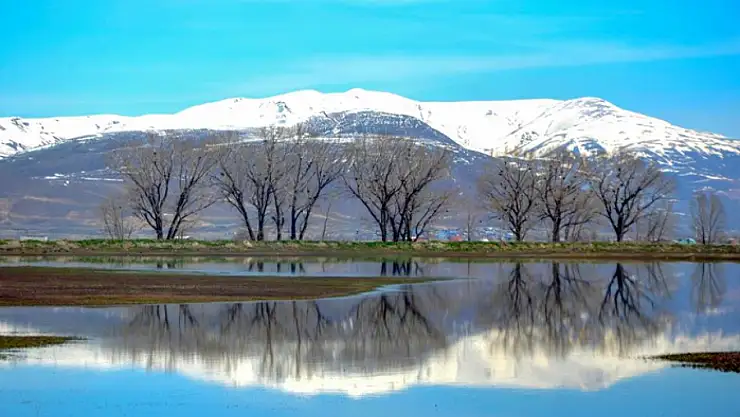 Çığ ve zirai don uyarısı