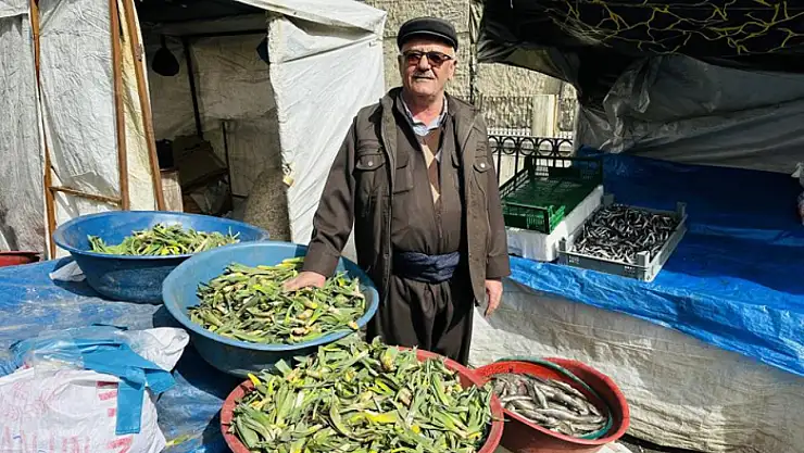 Çiriş otu tezgahlarındaki yerini aldı