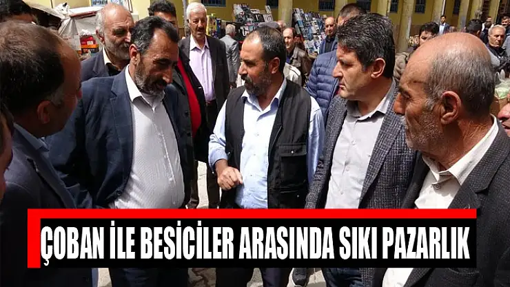 Çoban ile besiciler arasında sıkı pazarlık