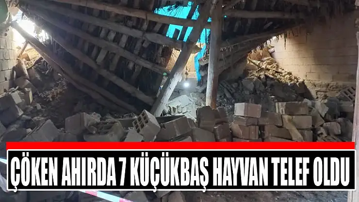Çöken ahırda 7 küçükbaş hayvan telef oldu