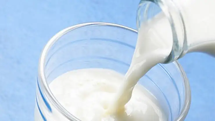 Danone'nin ürettiği sütten bakın ne çıktı! Toplatılıyor