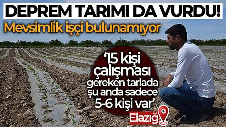 Deprem tarımı da vurdu, mevsimlik işçi bulunamıyor
