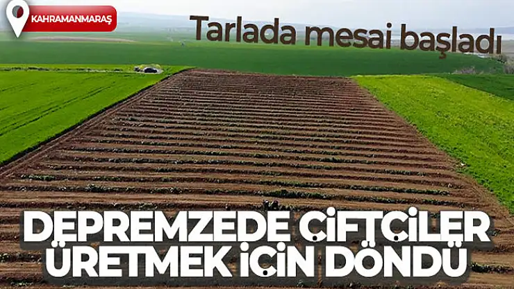 Depremzede çiftçiler üretmek için döndü, tarlalarında mesaiye başladı