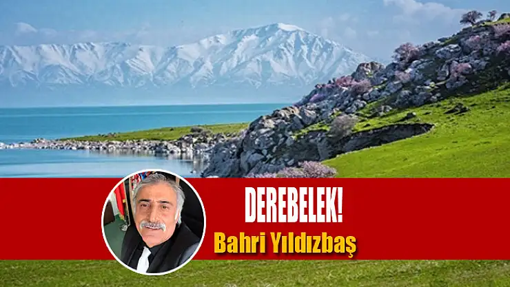 Derebelek!