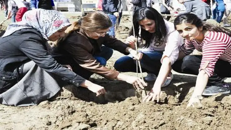 Boş alanlara yüzlerce fidan dikildi