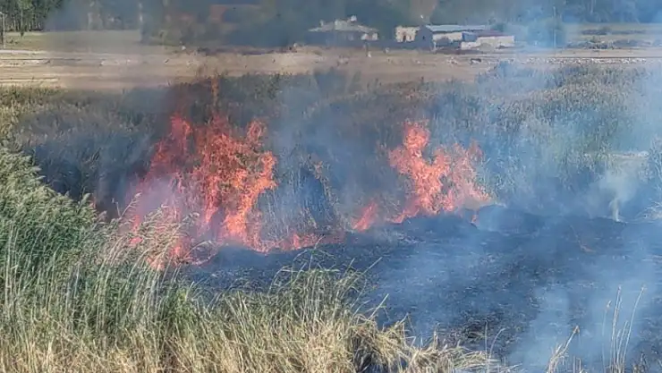 Doğa harikası Erçek Gölü sazlıklarında yangın çıktı