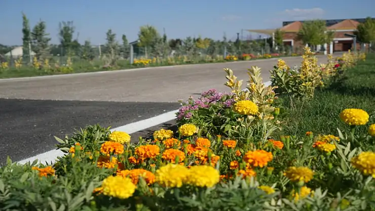 Doğa Koruma ve Milli Parklar Van Bölge Müdürlüğü 1071 çiçek dikti