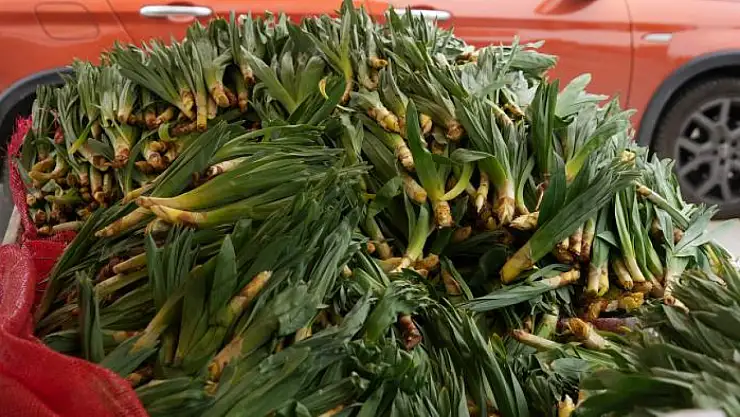Doğal antibiyotik tezgahlarda