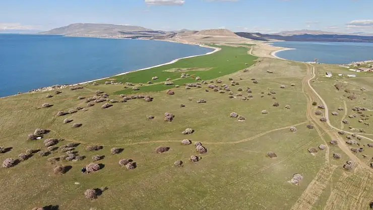 Doğaseverlerin yeni rotası Çarpanak yarımadası