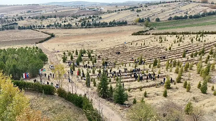 Doğu Türkistan ve Filistin için fidan diktiler