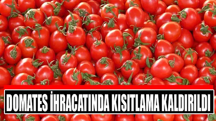 Domates ihracatında kısıtlama kaldırıldı