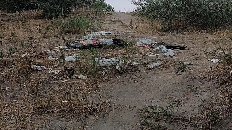 Dönemeç Şelalesi çöp yuvasına döndü