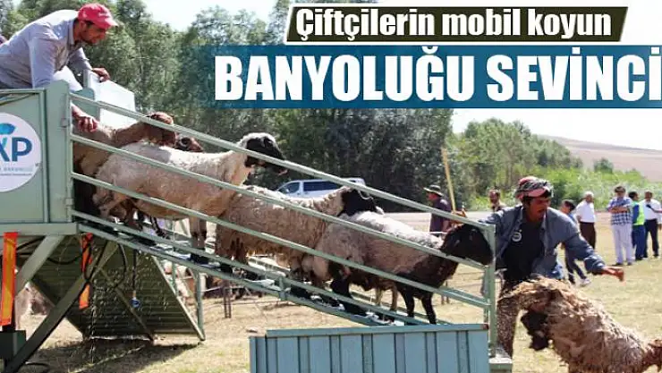 Çiftçilerin mobil koyun banyoluğu sevinci