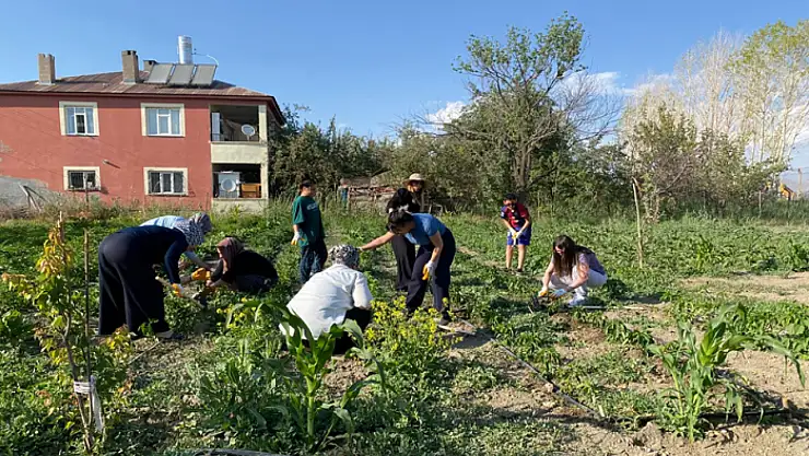Edremit Kent Bostanı'nda kadınların mesaisi başladı