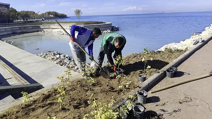 Edremit'te yeşillendirme çalışmaları sürüyor