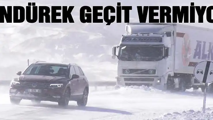 Tendürek Dağında vatandaşlar donma tehlikesi geçiriyor