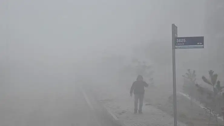 Elazığ'da yoğun sis etkili oldu, bir mahalle adeta kayboldu