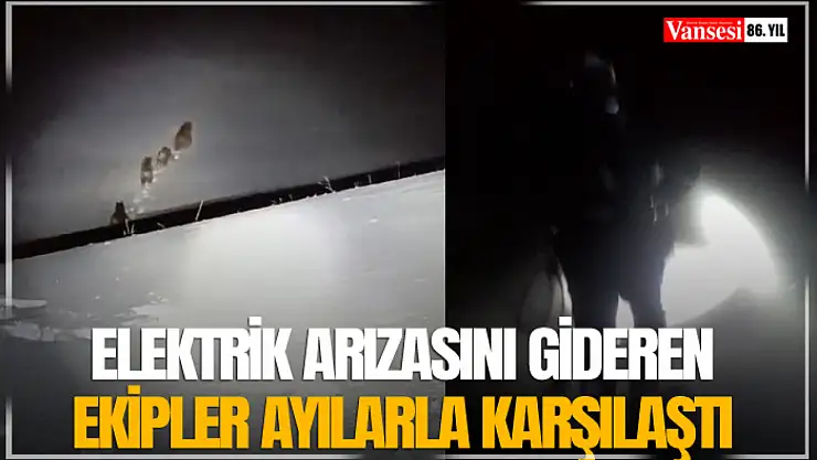 Elektrik arızasını gideren ekipler ayılarla karşılaştı