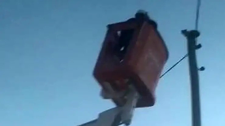 Elektrik direğinde mahsur kalan kedi kurtarıldı