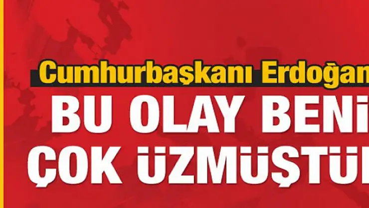 Cumhurbaşkanı Erdoğan: Bu olay beni çok üzmüştür
