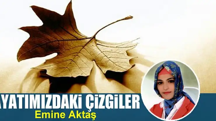 Hayatımızdaki  çizgiler