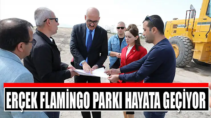 Erçek flamingo parkı hayata geçiyor