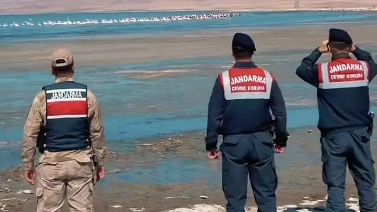 Erçek Gölü'nde jandarmadan flamingo nöbeti