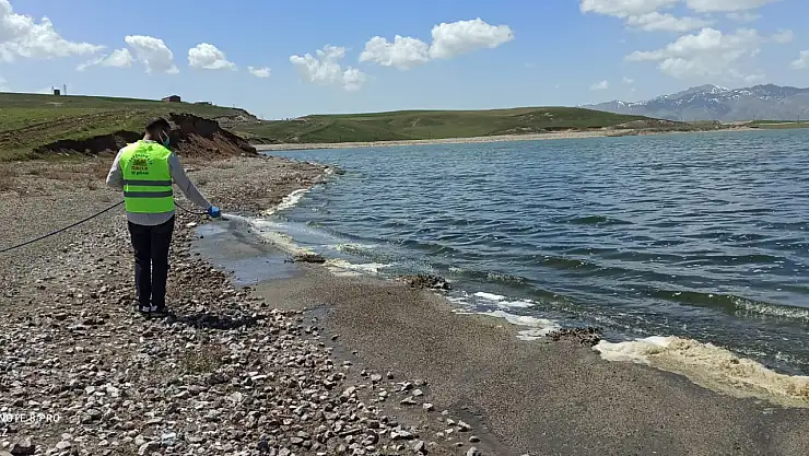 Erçek sahilinde ilaçlama çalışmaları yapıldı