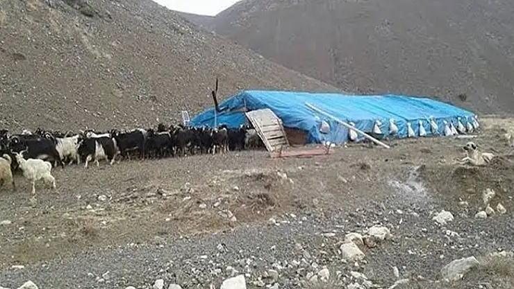 Erciş'te çobanlar arasında kavga: 1 ölü, 3 yaralı