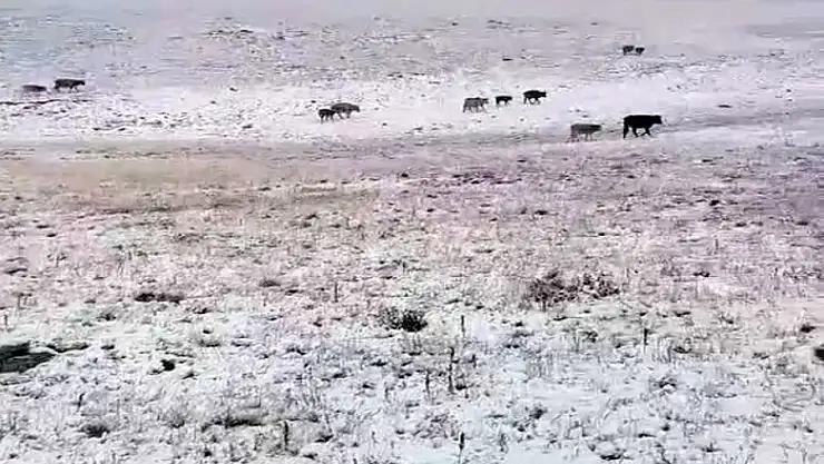 Erzurum'a mevsimin ilk karı yağdı