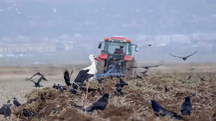 Erzurum'da traktör ve motosiklet sayısında artış var
