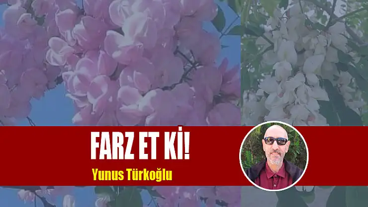Farz et ki!