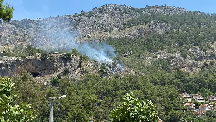 Fethiye'de orman yangını büyümeden söndürüldü