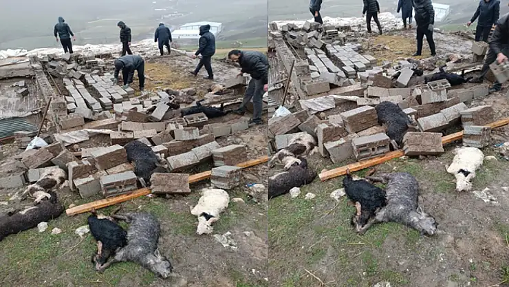 Fırtına ve yağışlardan ahır çöktü, hayvanlar telef oldu