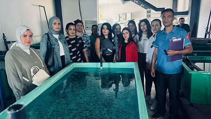 Gevaş Kırkçeşme Alabalık Tesisi'nde stajyer öğrencilere uygulamalı eğitim