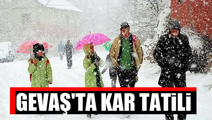 Gevaş'ta kar tatili