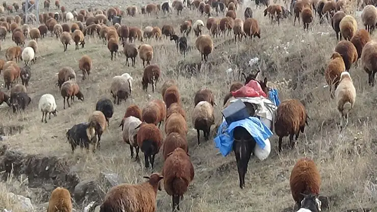 Göçerlerin zorlu yolculuğu başladı