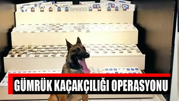 Gümrük kaçakçılığı operasyonu