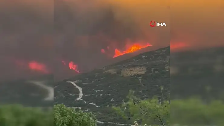 Güney Kıbrıs'taki orman yangınında ölü sayısı 2'ye yükseldi