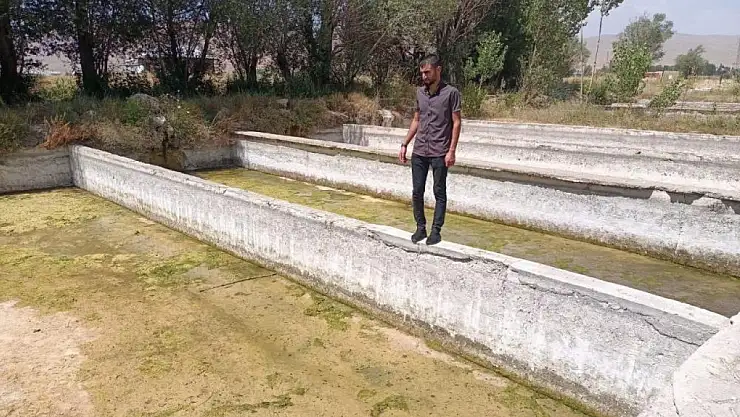 Gürpınar'daki tesiste binlerce balık telef oldu