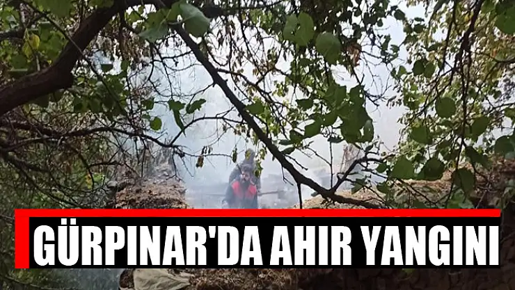 Gürpınar'da ahır yangını