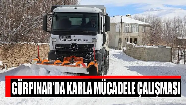 Gürpınar'da karla mücadele çalışması