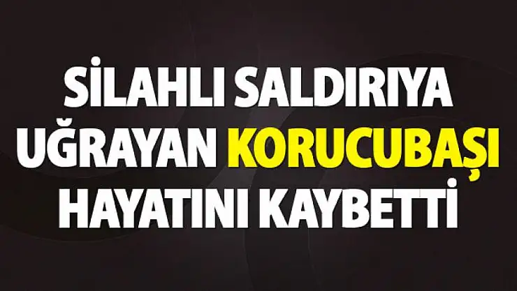 Korucubaşı Metin Ertaş silahlı saldırıya uğradı.