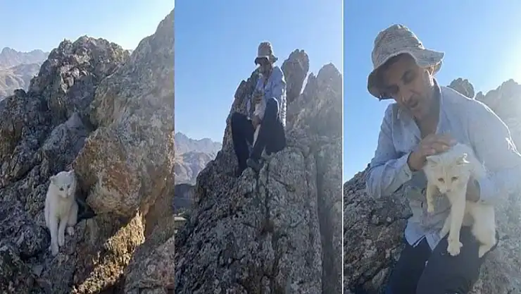 Hakkari'de 2 gündür kayalıklarda mahsur kalan kedi kurtarıldı