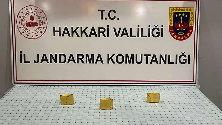 Hakkari'de 3 kilo altın ele geçirildi