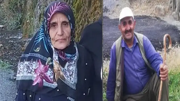 Hakkari'de 60 yaşındaki kadın kayboldu