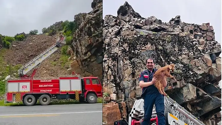 Hakkari'de kayalıklarda mahsur kalan keçi yavrusu kurtarıldı