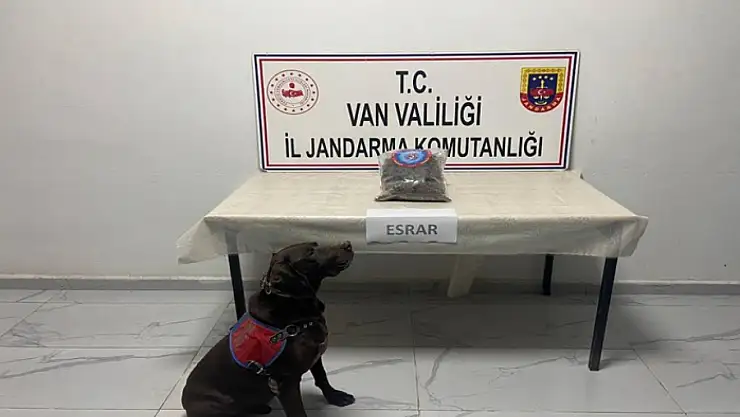 Hakkari'de kubar esrar ele geçirildi