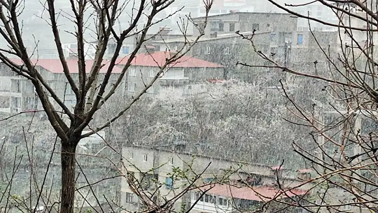 Hakkari'de Nisan ayında kar yağışı etkili oldu