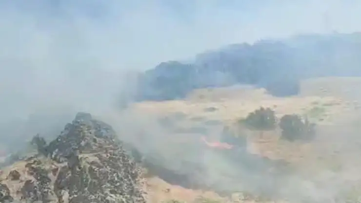 Hakkari'deki orman yangınlarında askerler ve köylüler seferber oldu